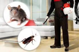 مكافحة الفئران والجرذي