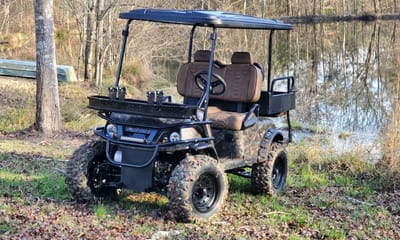 5 Reasons Why You Need a Customized Golf Cart