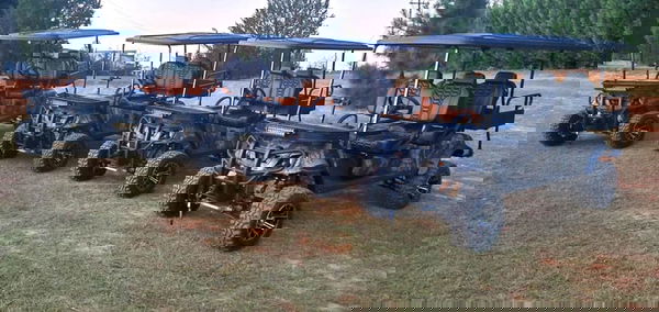 Electric Hunting Buggy