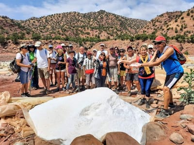 Marche aux Salines