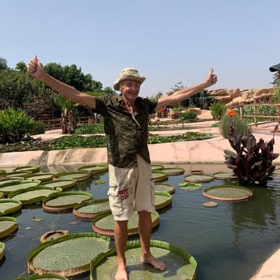 Nénuphar Victoria AGADIR