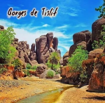 Voyage à Taliouine et Tislit