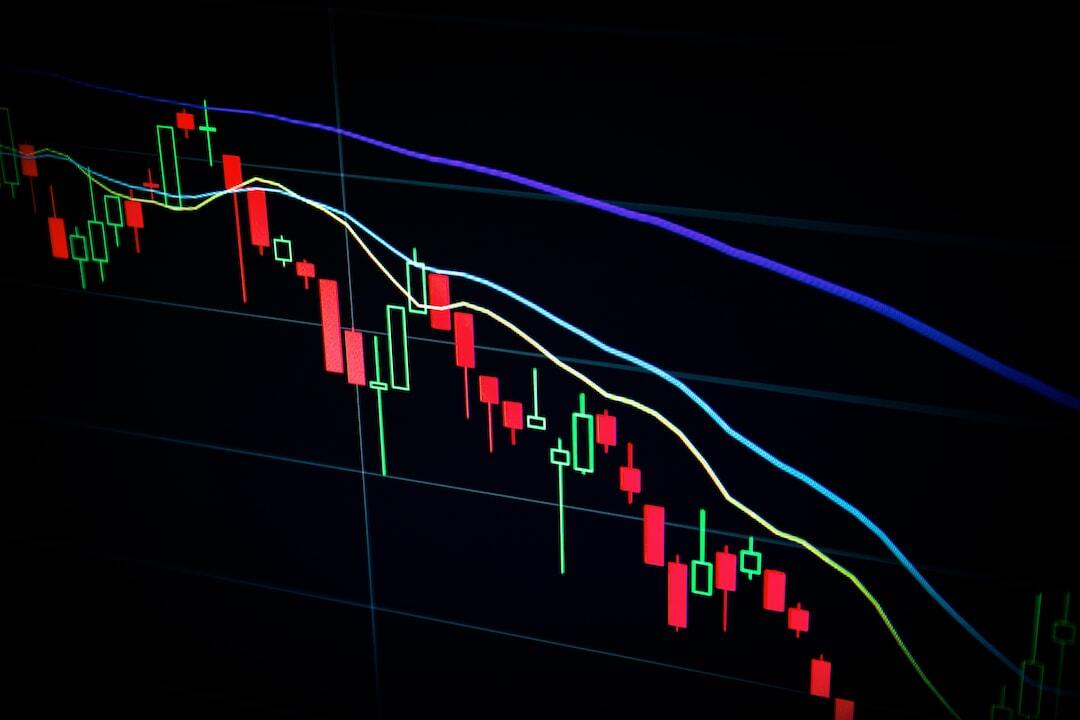 Survive in a Crypto Bear Market 🐻