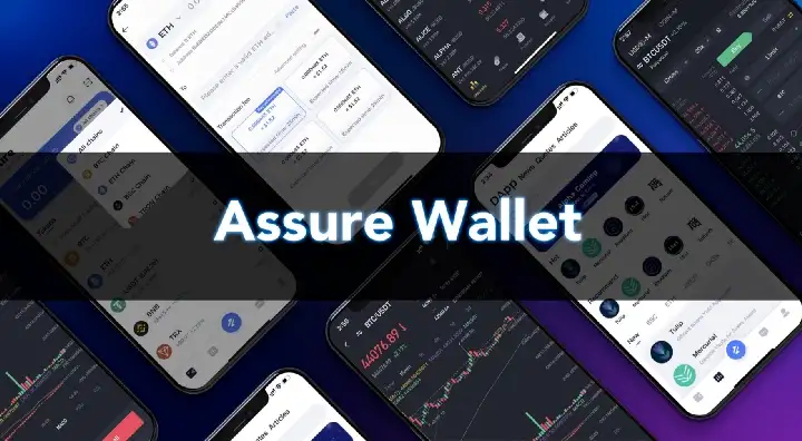 Introducing Assure: Your All-in-One Wallet Aggregator