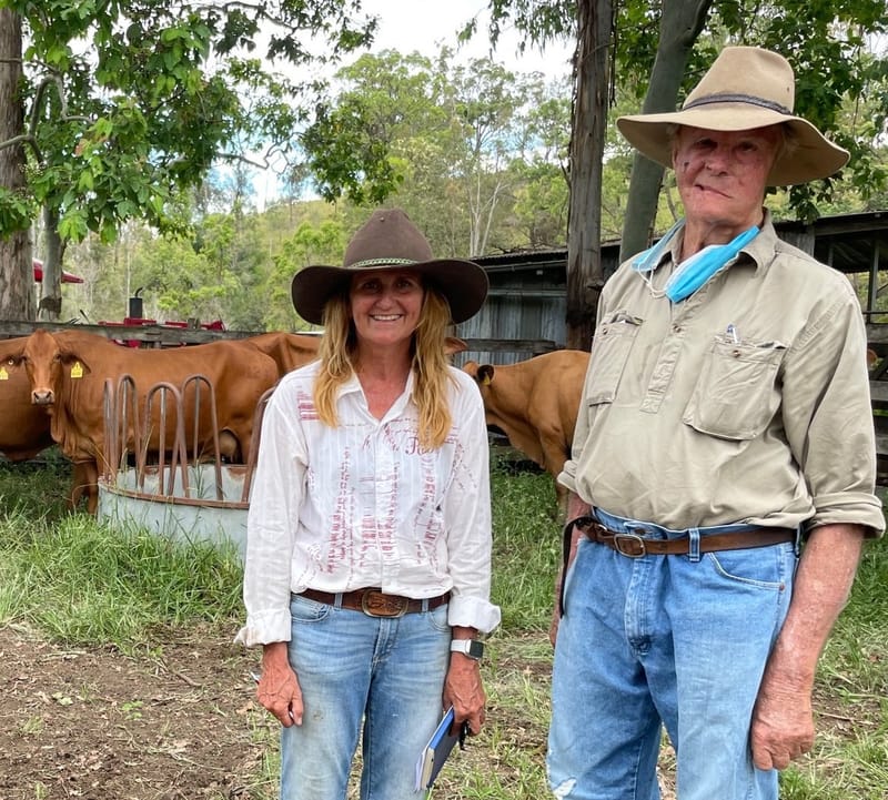 Honouring the Droughtmaster