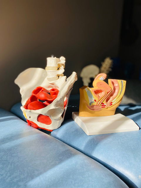 Rééducation Pelvi Périnéale