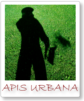 Collaborateur image
