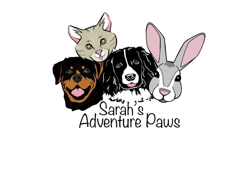 It's all Fluffed up dog grooming