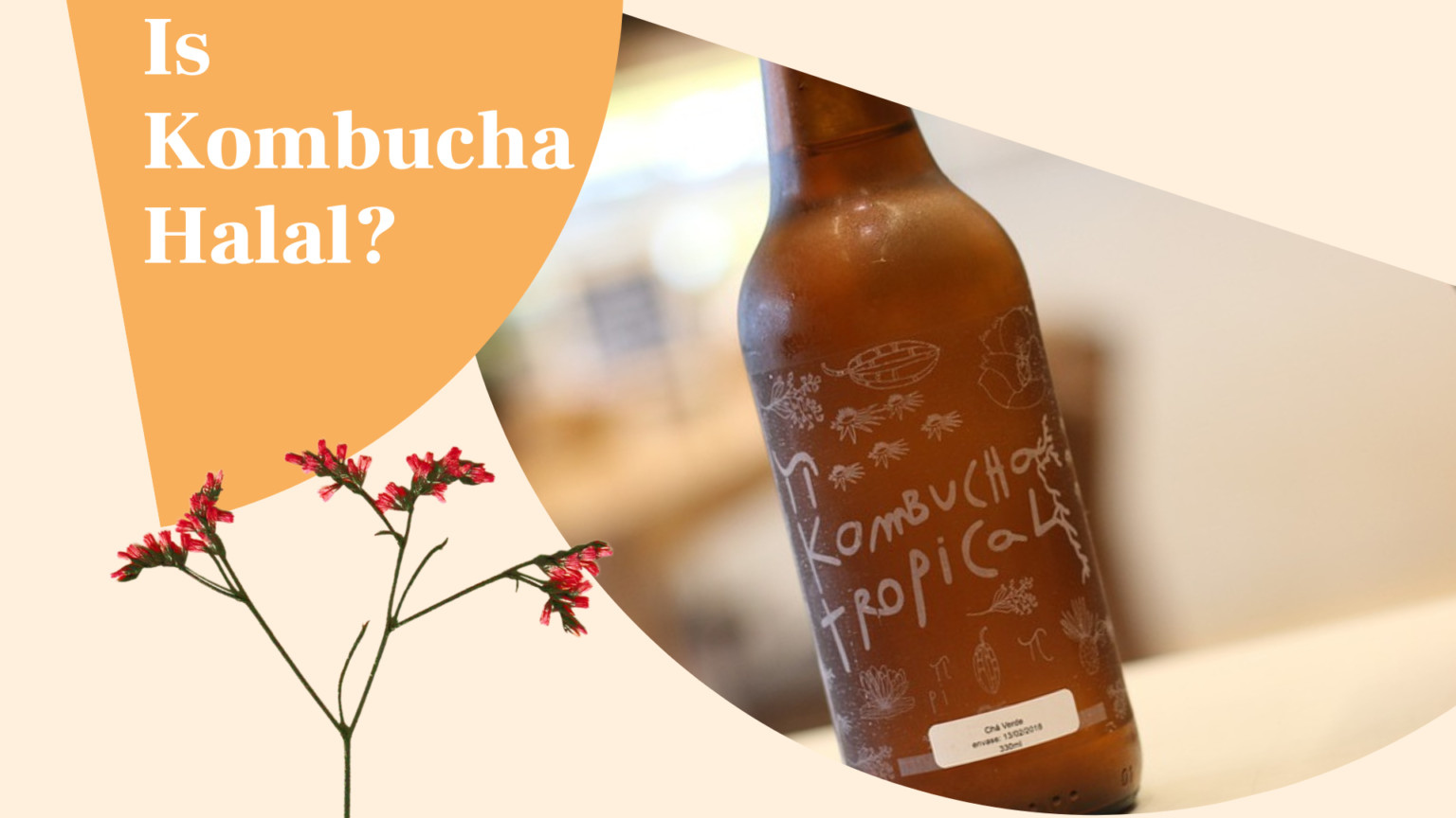 Does kombucha burn belly fat?