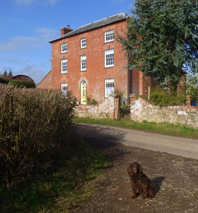The Farm image