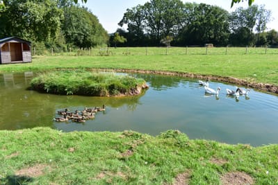 AYLTON MOTORHOME &amp; CARAVAN sITE image