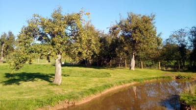 AYLTON MOTORHOME &amp; CARAVAN sITE image
