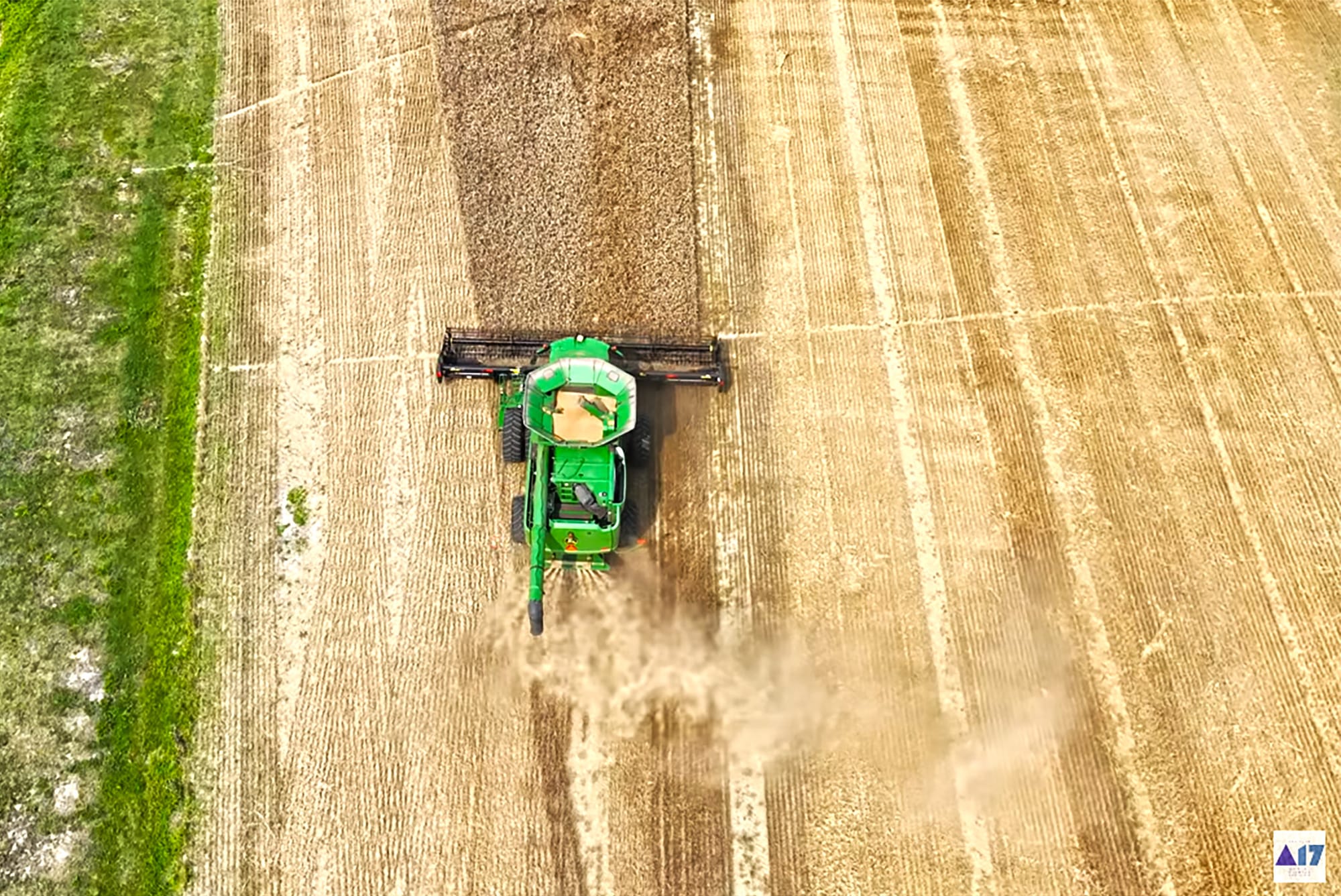 Early Summer Wheat Harvest in NE North Carolina
