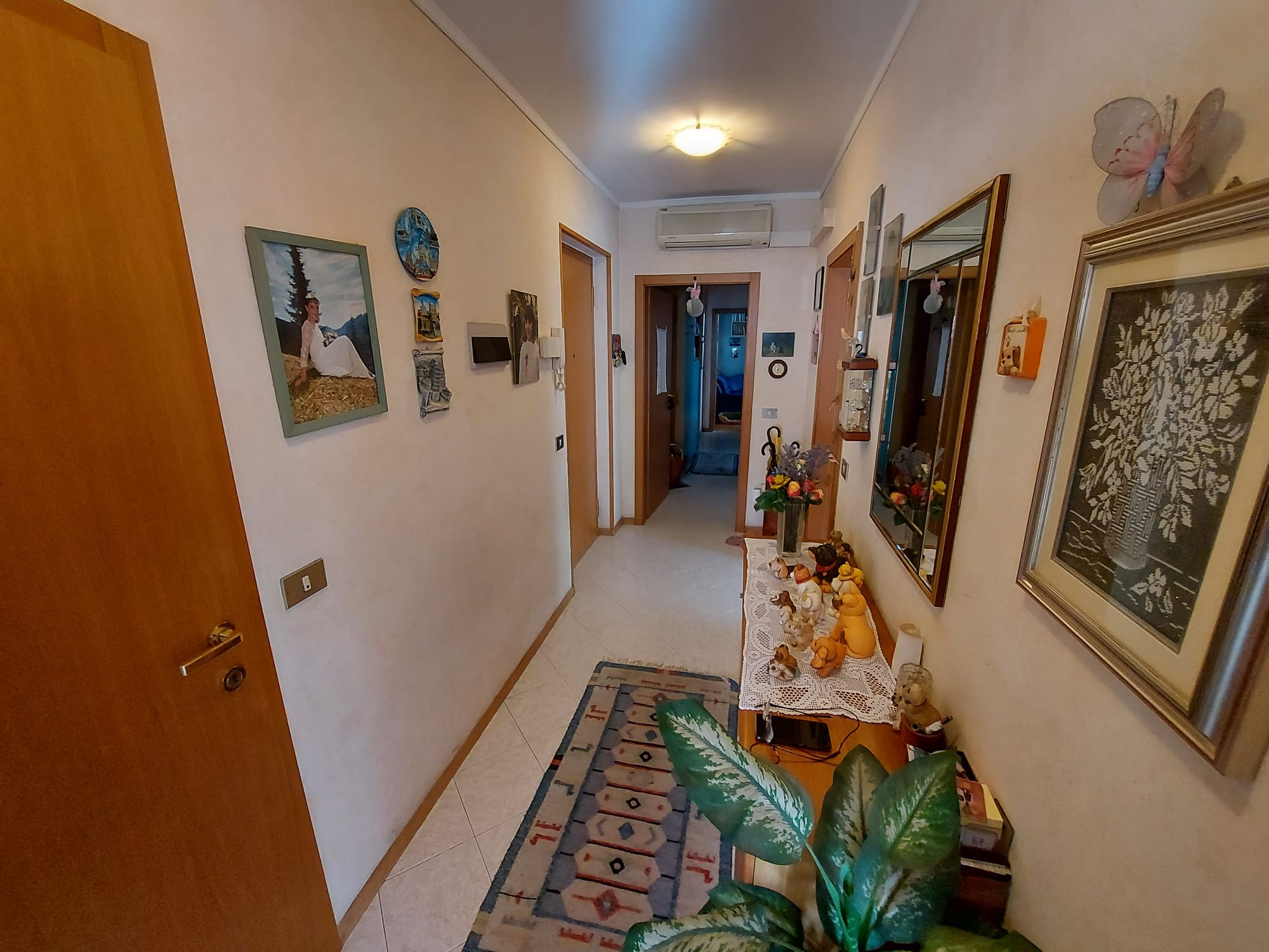 APPARTAMENTO IN VIA GUARDINI CON CUCINA E SOGGIORNO SEPARATI 