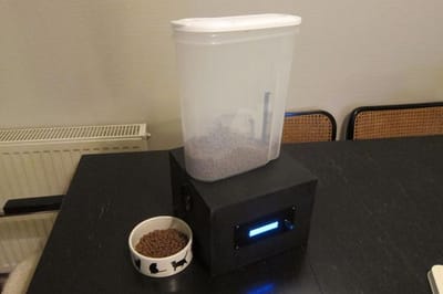 Having an Automatic Cat Feeder for Your Cats