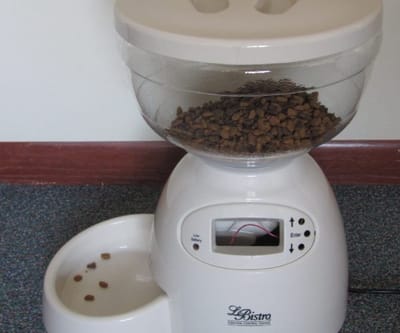 Why Use an Automatic Cat Feeder
