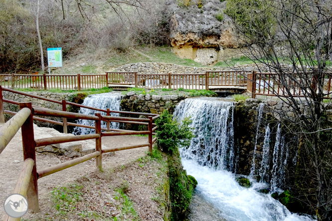 Fonts del Cardener