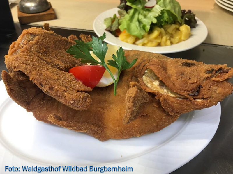 Karpfenessen Obst- und Gartenbauverein Gallmersgarten