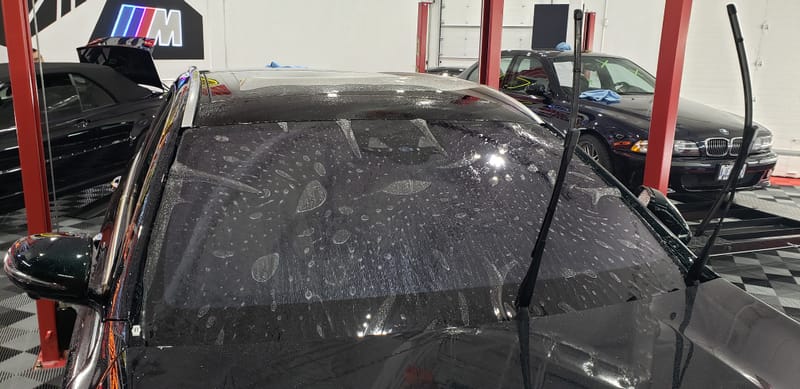 WINDSHIELD PAINT PROTECTION FILM