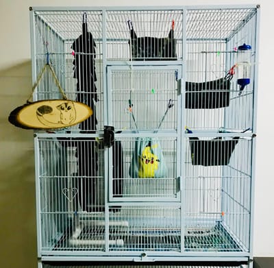 כלוב ומצע מתאימים