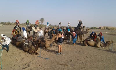 sobre nosotros image