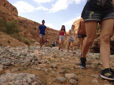 sobre nosotros image