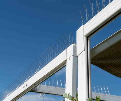 شركة تركيب طارد الحمام بالرياض خصم 50%