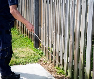 شركة مكافحة الصراصير بالرياض