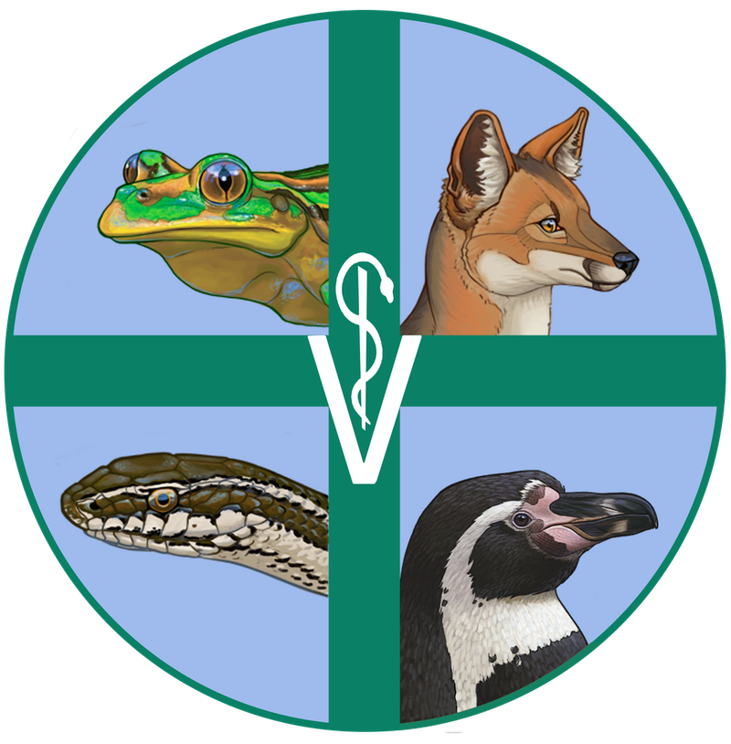 Rehabilitación de Fauna Silvestre