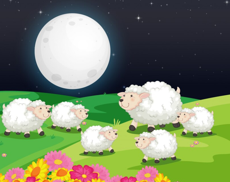 Play Sheep Fight Online: A Great Way to Stay Active