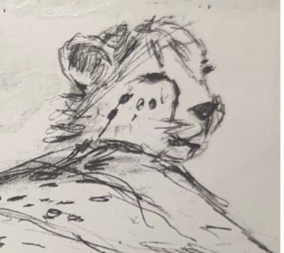 Africa: Cheetah Chronicles—Tales of Speed, Survival, and Family Bonds in the Wild!