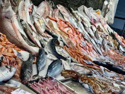 AFRIKAANSE "BLOG" - SISILIË, La Pescheria, Katania se "Lewendige" Vismark.