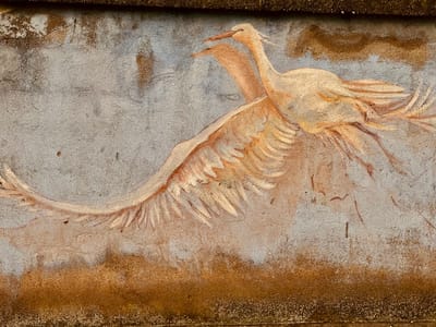 Vivie’s Stories: A story of Rosalinda, The Enchanting Flamingo Princess born in Sardinia