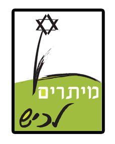 מה היא מכינה קדם צבאית ? image