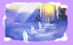 SEELE FÄHRMANN image