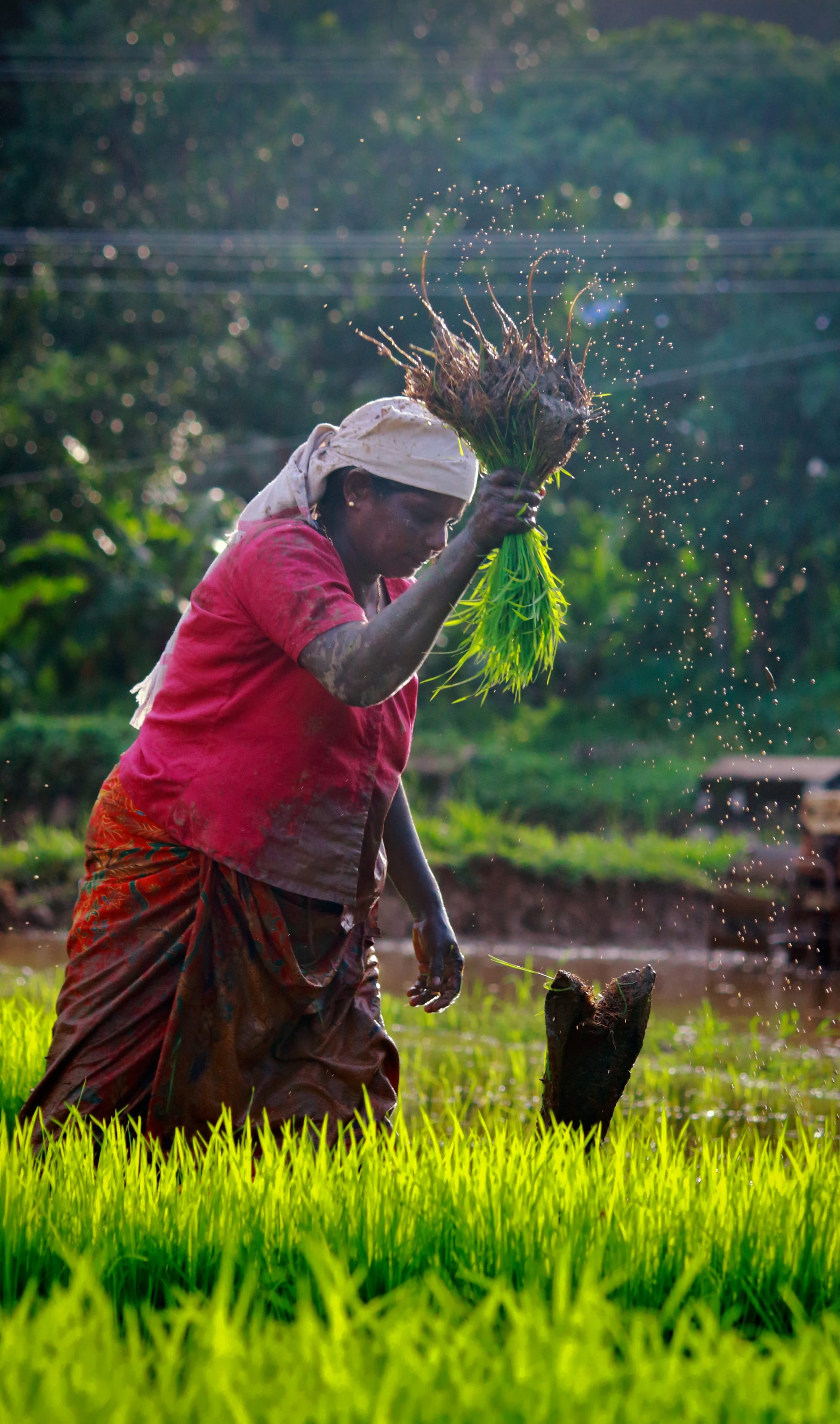 Real True Greens and the Return to Natural Organic Farming and Land Custodianship