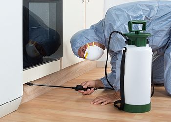 Are you Being Pestered? Read this and Get the Perfect Pest Control Service For Your Home