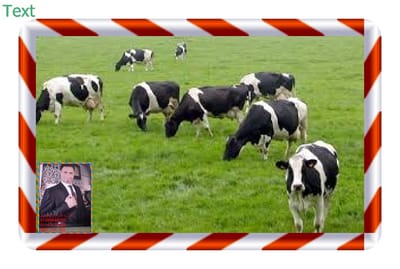 Magic Roger for Animal Production123g