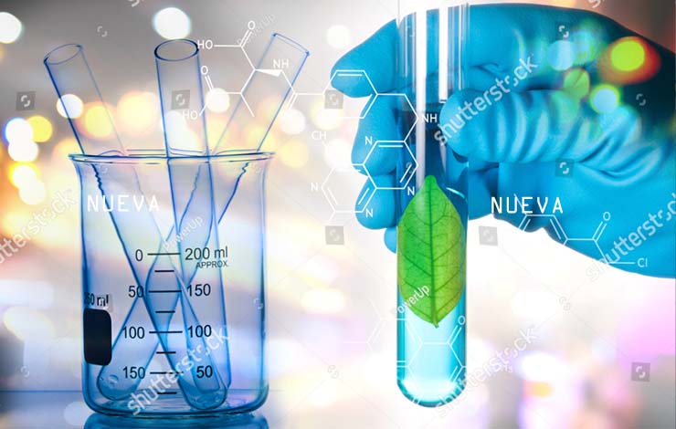 CUSTOM FORMULATION