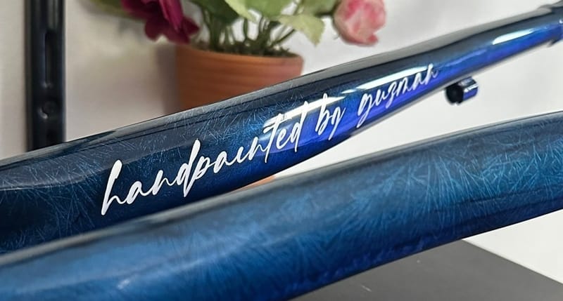 Trinx Ice Fx + Raw blue carbon