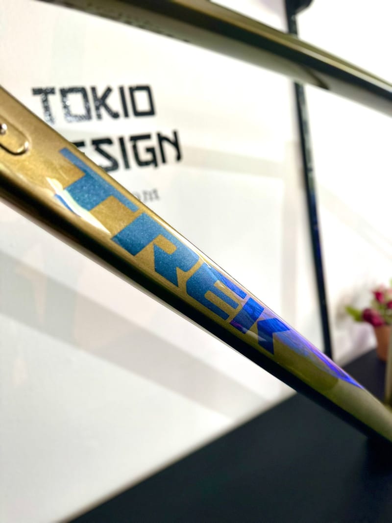 Trek dual sport 2 cuatricapa