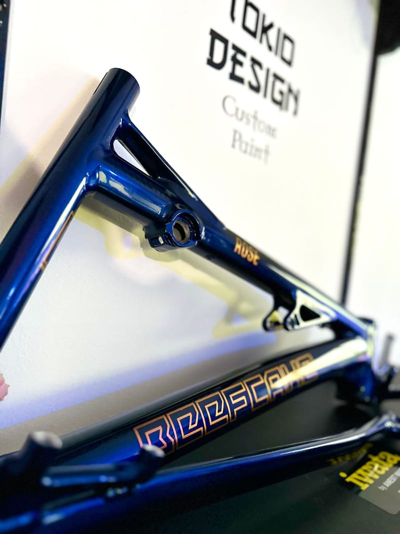 Rose Beefcake midnight blue + chamaleon logos