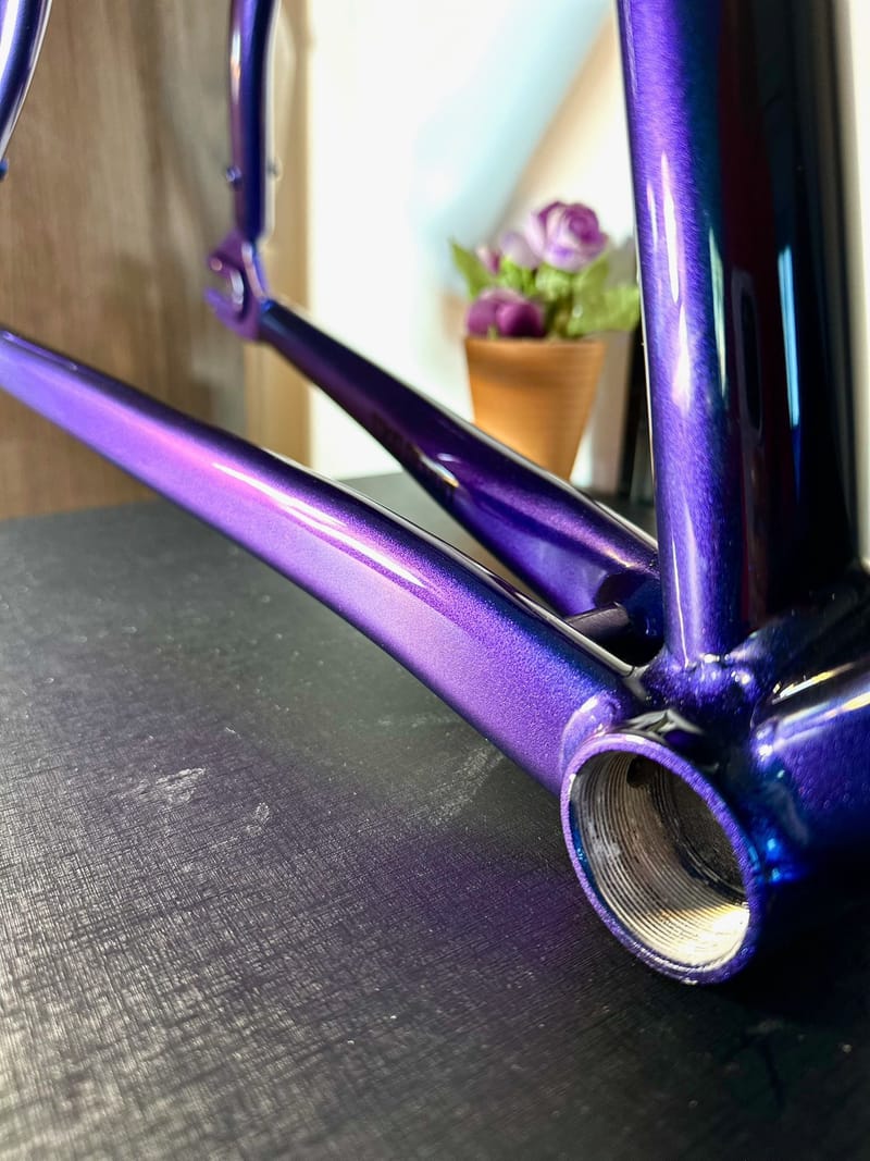 Pista frame chamaleon fades + black