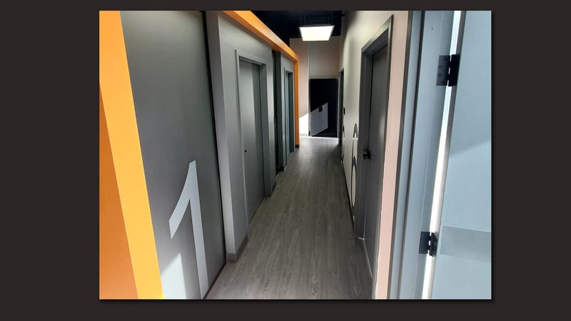 Dandelion – Allergy centre – North York 