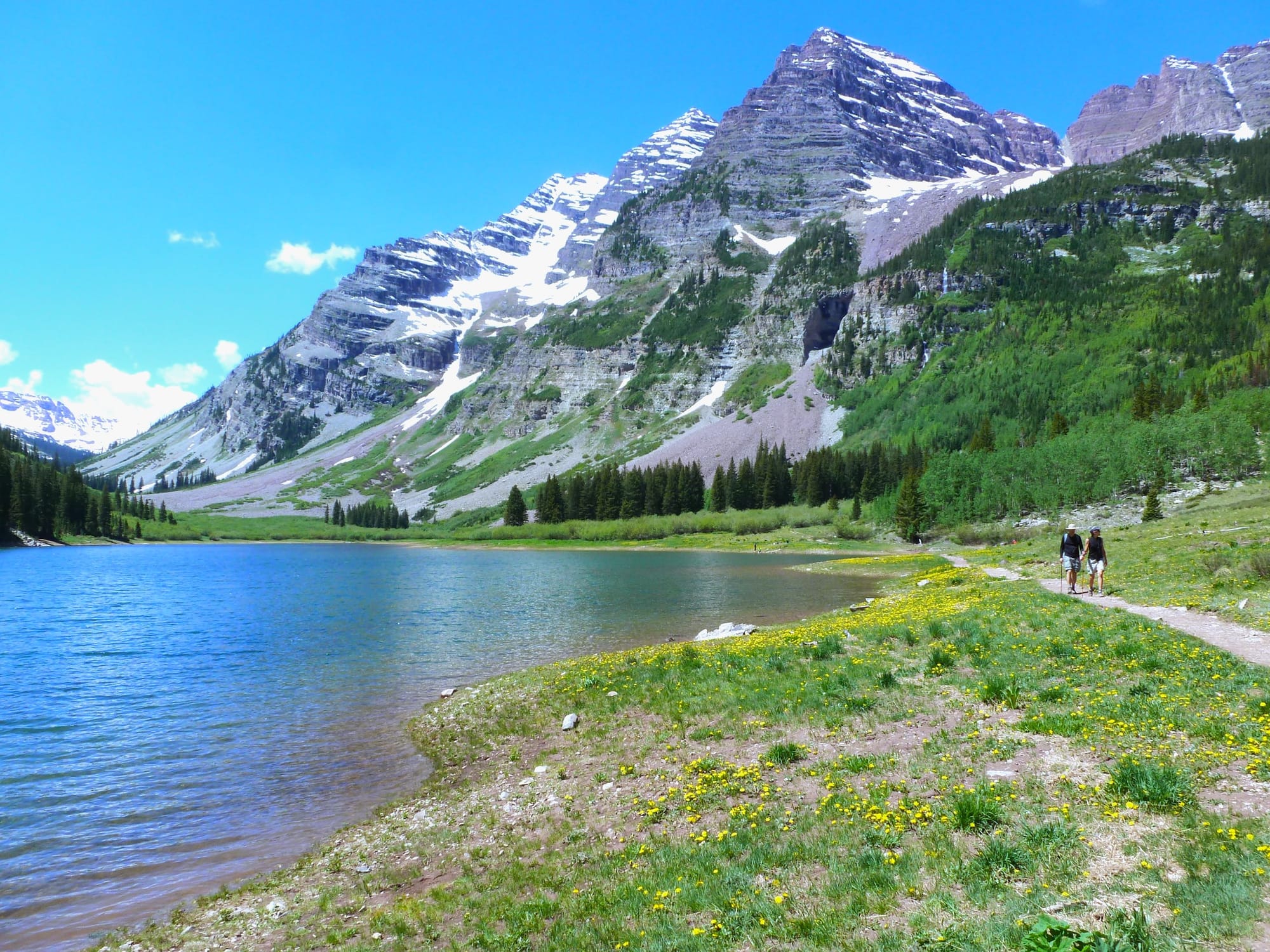 Alpine Trail