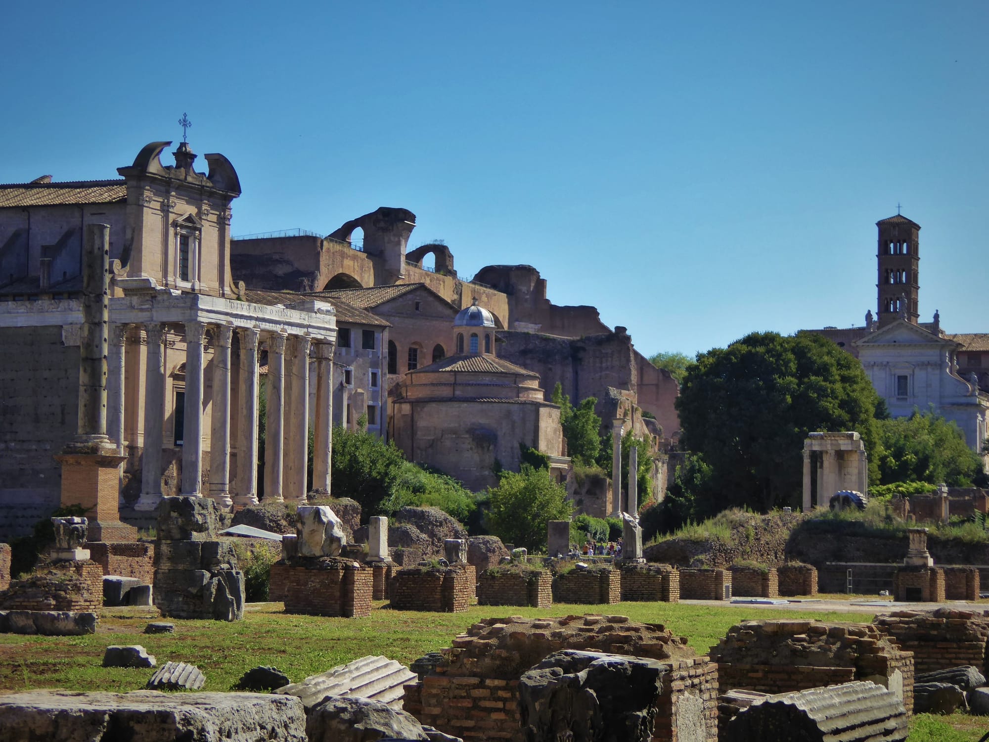 Morning at the Forum