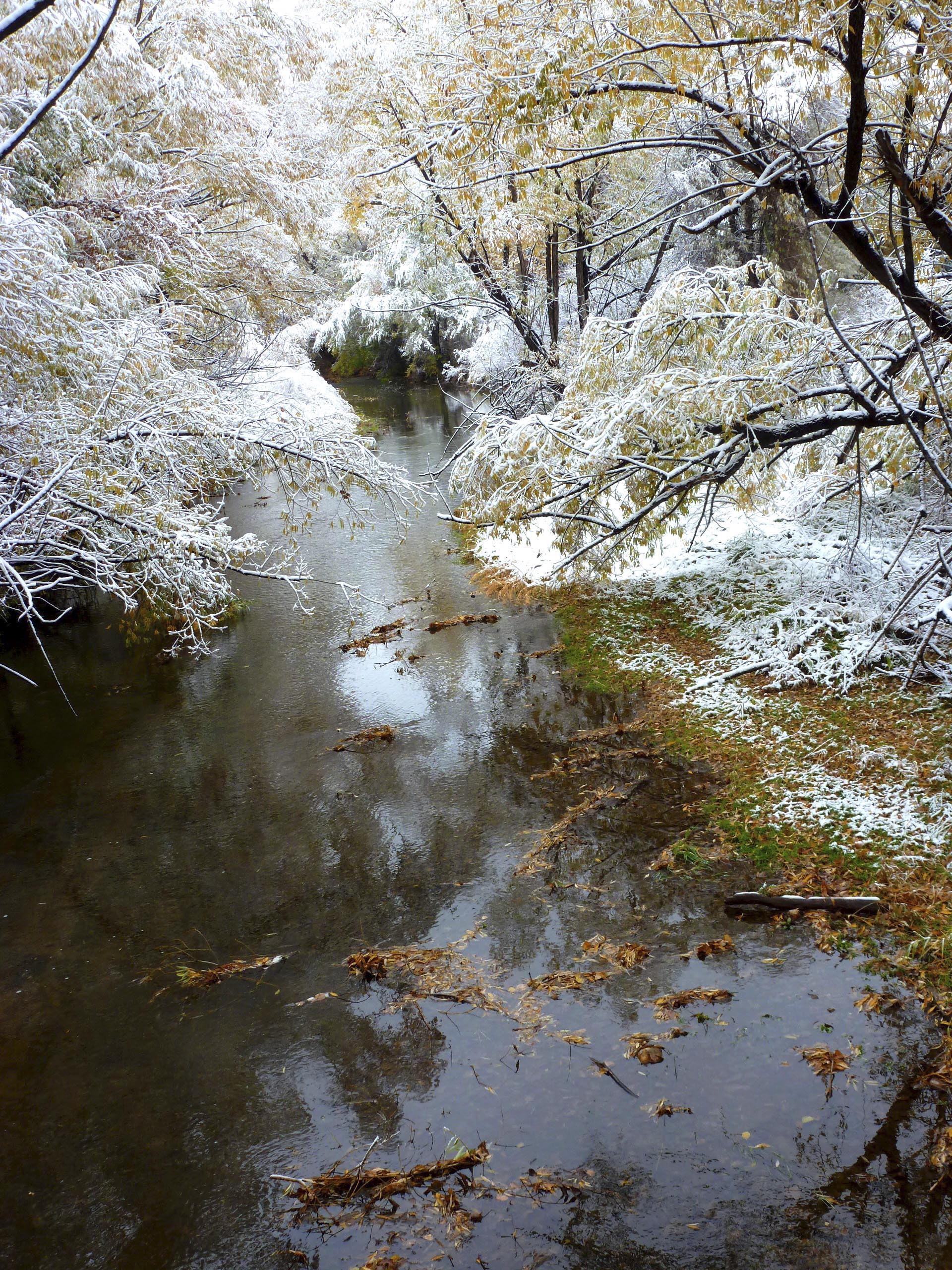 Reflections of Winter