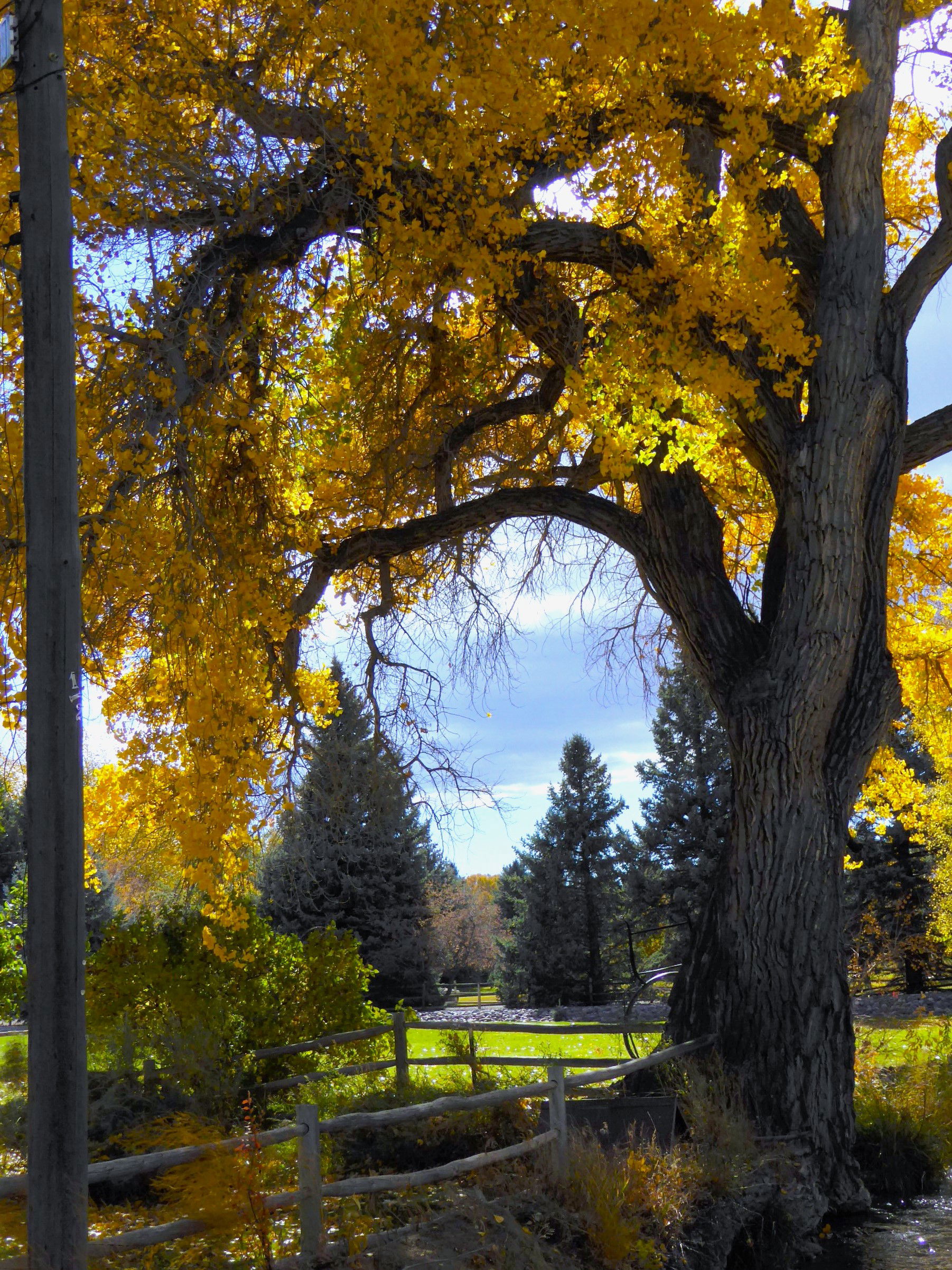 Colors on the Western Slope