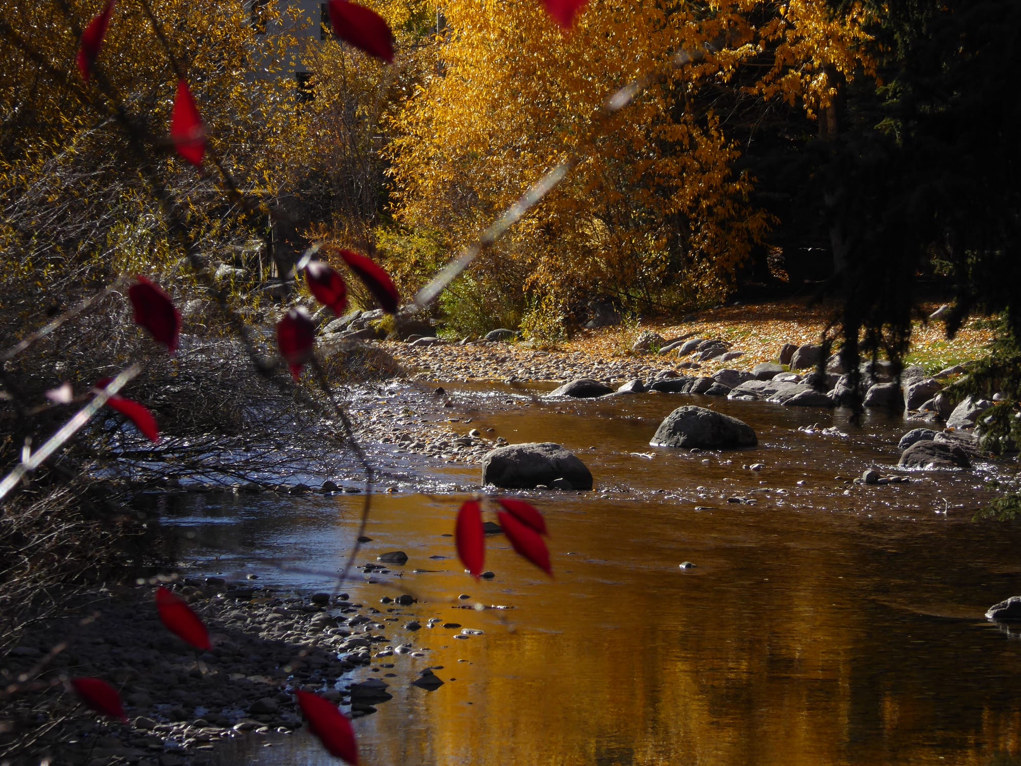 Lazy Fall River