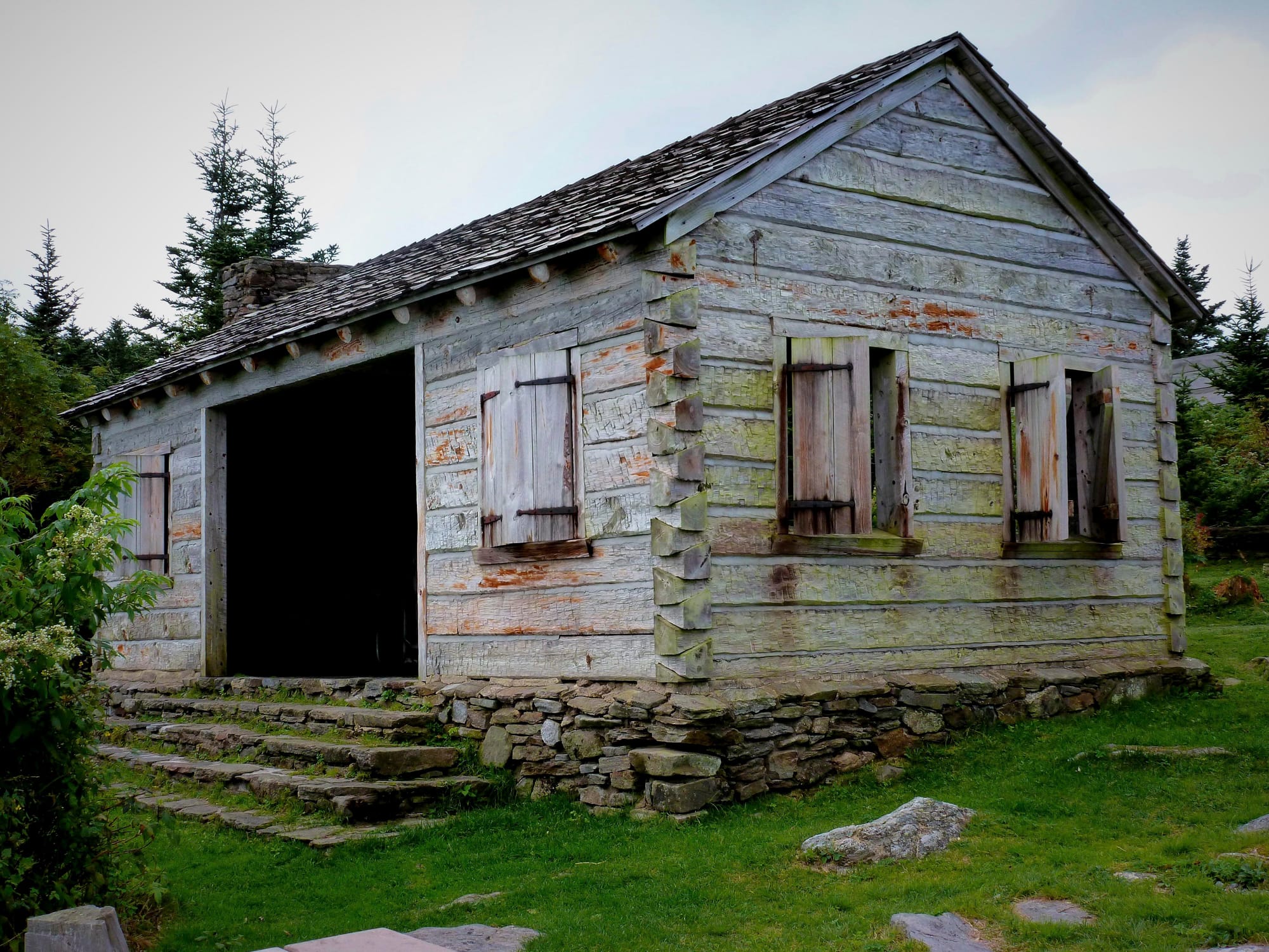 Cabin in the Forest